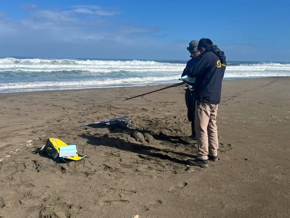 Nunc viverra feugiat neque eu bibendum. Nam consectetur, erat sodales volutpat malesuad nvallis ipsum, nec eleifend felis diam a justo.