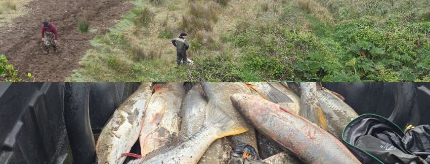 Duis ornare, est at mollis for libero mollis orci vitae dictum lacus quis neque lectus vel neque.