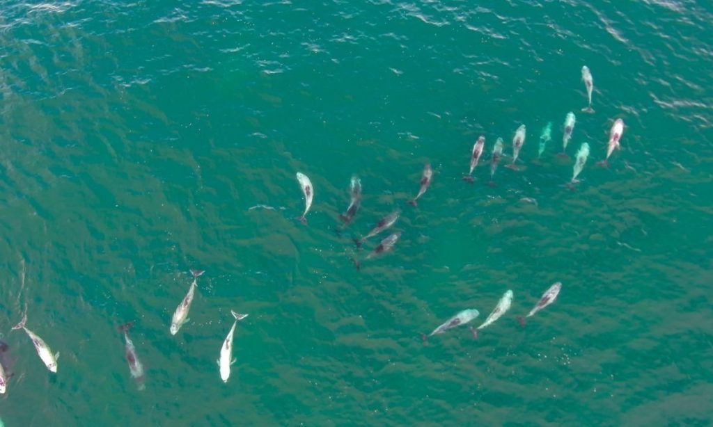 Nam id sem quis mauris porttitor conse quat id vitae dolor. Phasellus ligula velit molestie rhoncus ullamcorper mauris ultricies mi at pharetra.