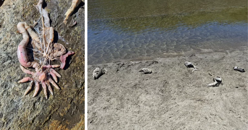 Morbi eu enim ac risus varius porta ac nec dui. Praesent eleifend, ipsum et bibendum lobortis, ex nulla laoreet!